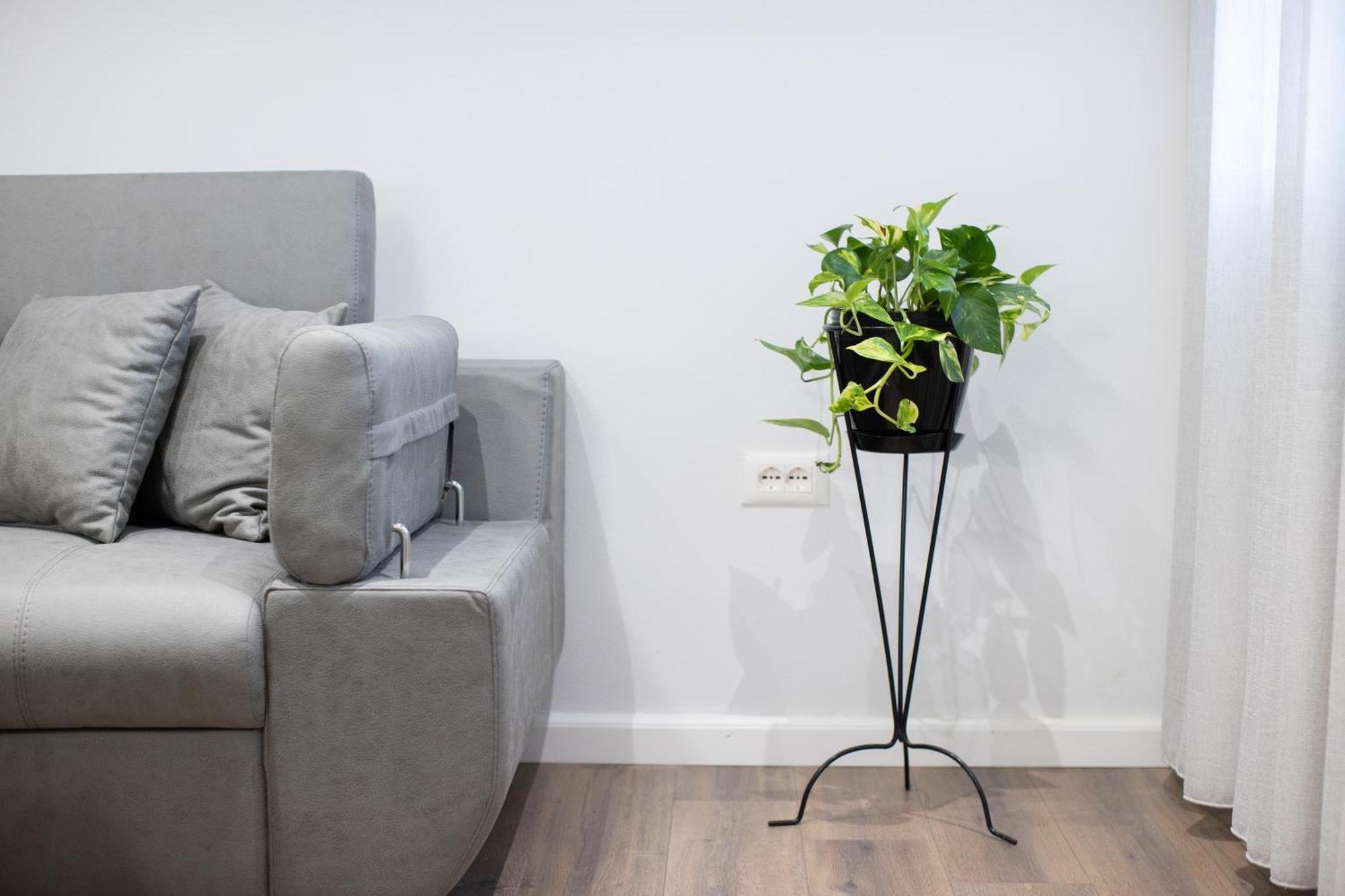 Apartament Eka Luxury